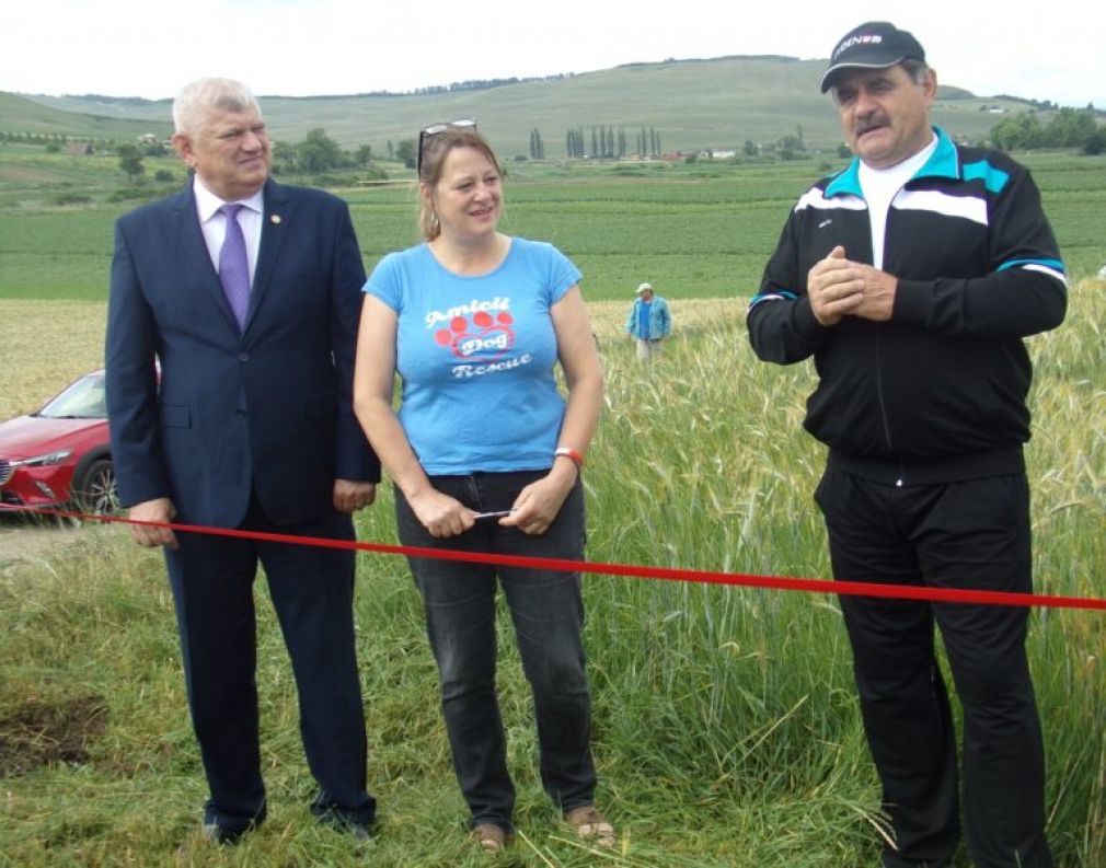 Viişoara: Adăpost pentru animale abandonate