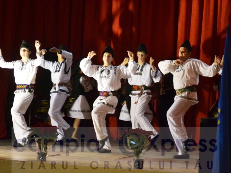 viisoara 1 decembrie 2011 3