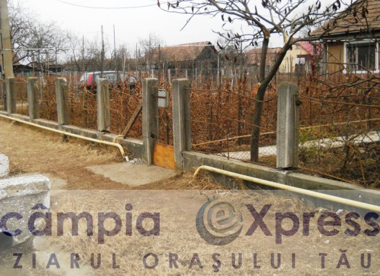 accident luna 24 decembrie 2011 6