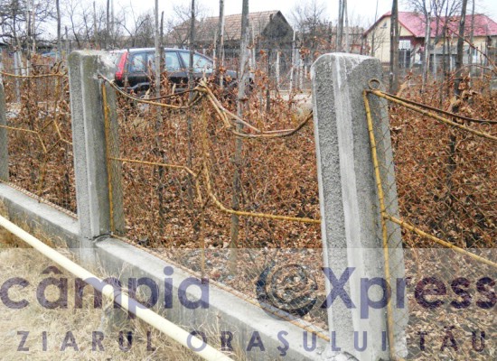 accident luna 24 decembrie 2011 8