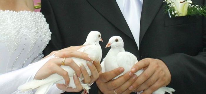 nunta taxa mircea giurgiu