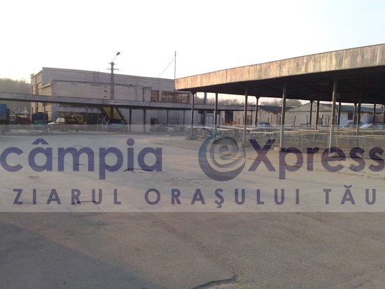 hala agroalimentara campia turzii 4