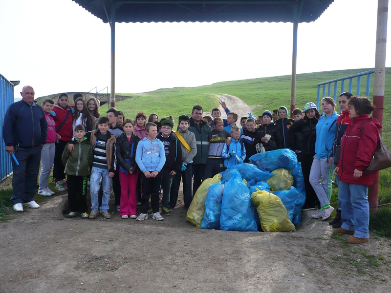 scoala altfel viisoara